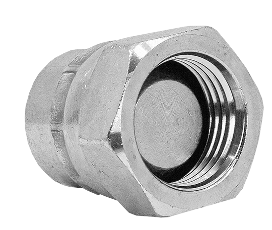 BSPP Female Swivel